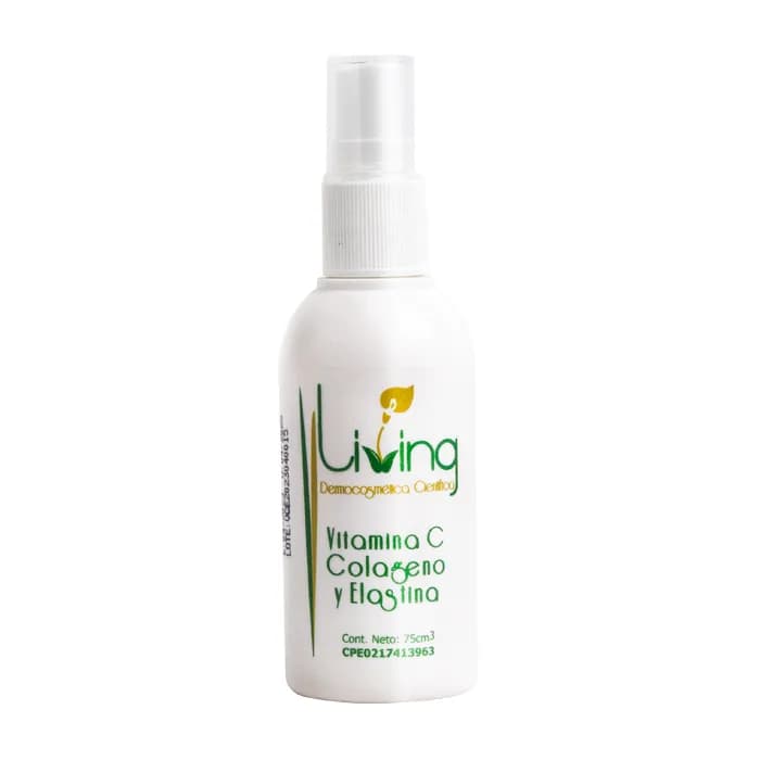 vitamina c colageno y elastina